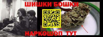 сатива Лесосибирск
