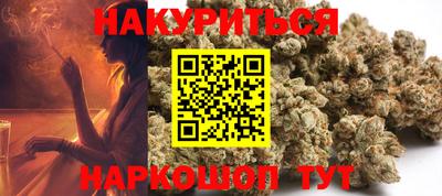 сатива Лесосибирск