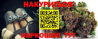 сатива Лесосибирск