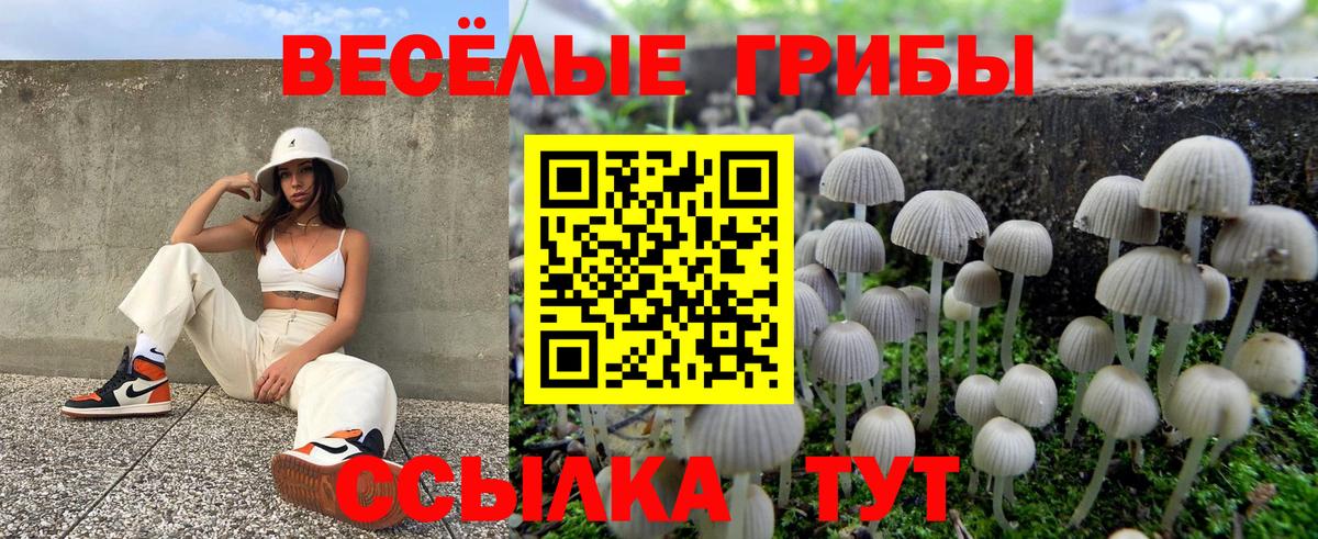 Галлюциногенные грибы MAGIC MUSHROOMS Урай
