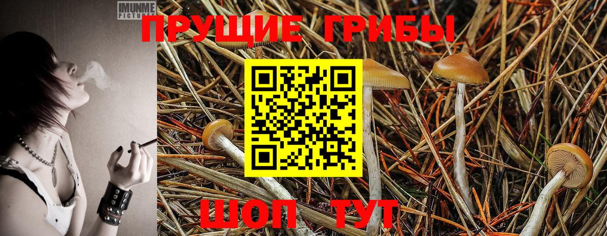 Урай  Галлюциногенные грибы мухоморы  Вход с VPN 