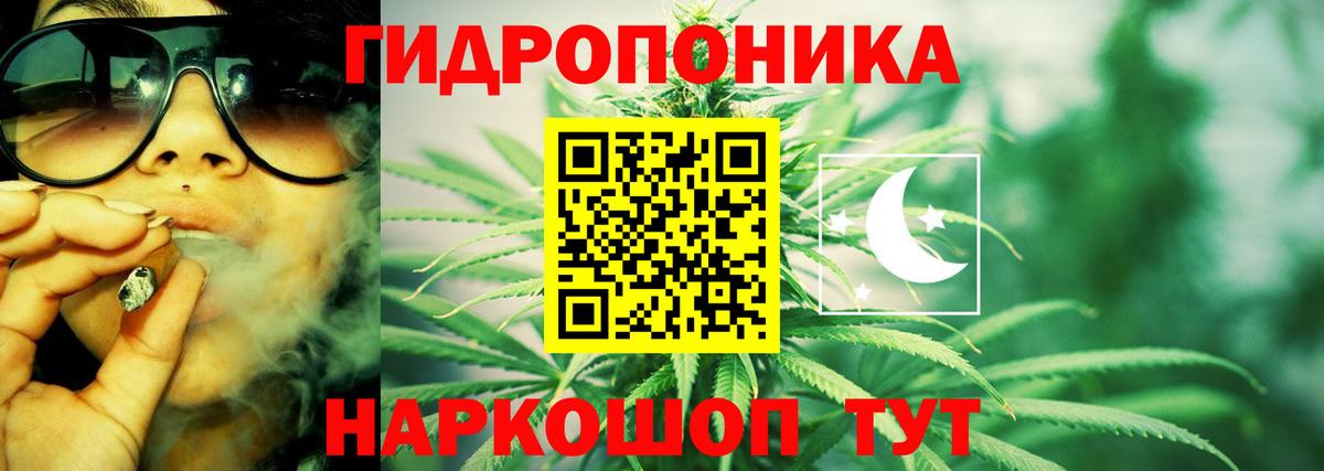 МАРИХУАНА сатива Урай